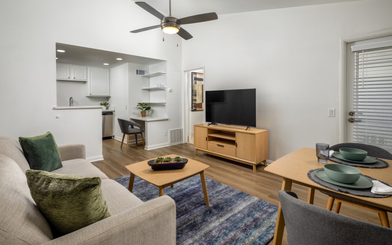 One Bedroom Living Room and Kitchen